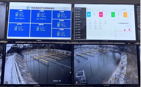 花都区 科技兴渔启新程，人工智能与“芯片鱼”引领智慧渔业探索
